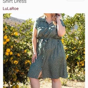 LuLaRoe Chambray Stacy dress